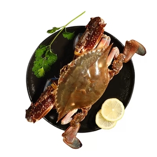5-8两 北京闪送 活鲜 满黄 母梭子蟹 膏蟹螃蟹 海鲜海蟹飞蟹 冬蟹