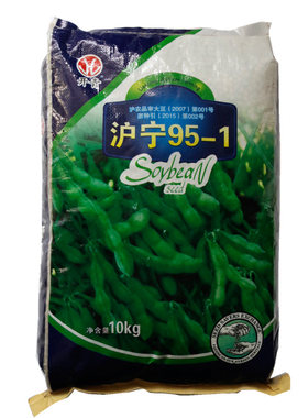 沪宁95-1毛豆种子鲜食毛豆籽