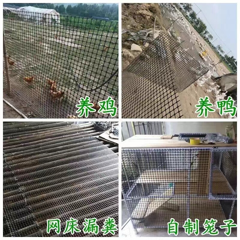 小孔塑料养殖网鸡鸭育雏脚垫漏粪网加密加厚大棚防鸟网养鸡围栏网