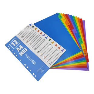彩色A4分页纸31类塑料索引纸分类纸12类分类标签分隔月度纸年度纸