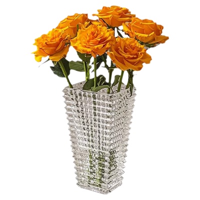 Sailing轻奢创意花瓶摆件客厅水养插花瓶玻璃透明花器高级感家用