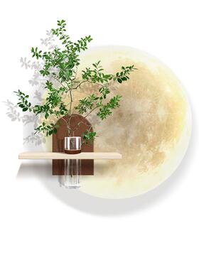 亚克力立体水培装饰画带花瓶挂画