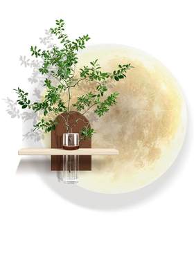 亚克力立体水培装饰画带花瓶挂画