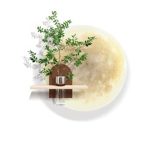 水培绿植装饰画壁灯客厅背景墙挂画新款DIY带花瓶可插花餐厅壁画