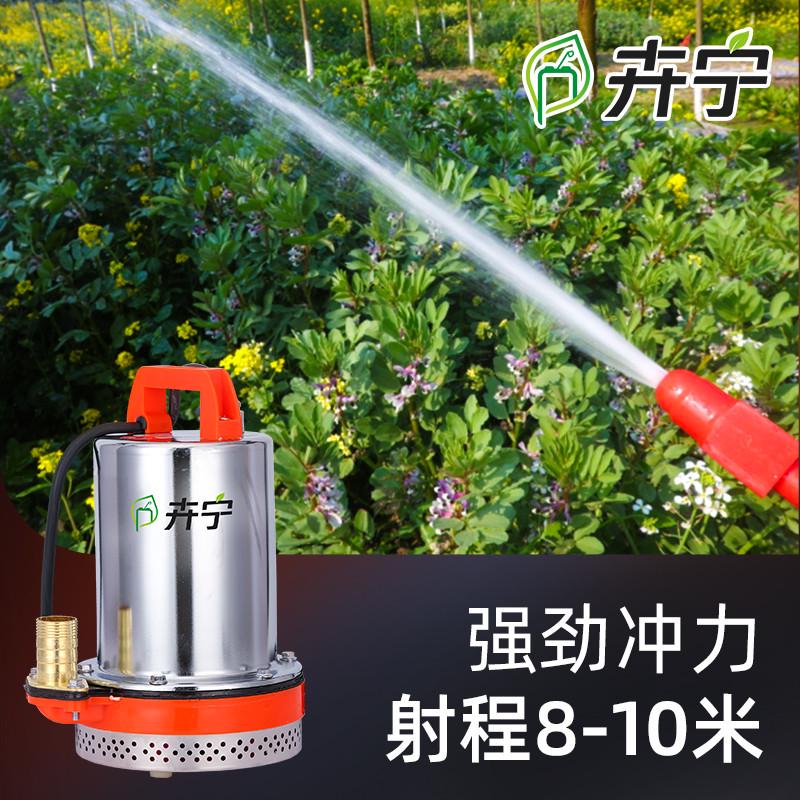 直流潜水泵12V24V48V60V伏电动车抽水泵浇菜水泵浇水泵抽水机