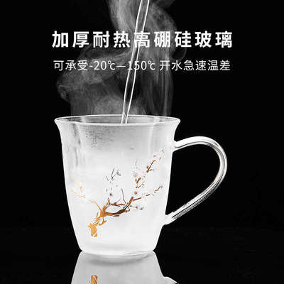 玻璃杯小茶杯品茗杯主人杯2025新款个人用带把手高硼硅透明泡茶杯
