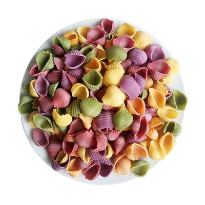 整箱5500g海螺面贝壳面