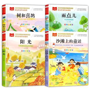 金波四季童话美文注音版全套4册 雨点儿 阳光 树和喜鹊 沙滩上的童话 一年级阅读课外书必读老师推荐经典书目儿童诗选带拼音的书籍