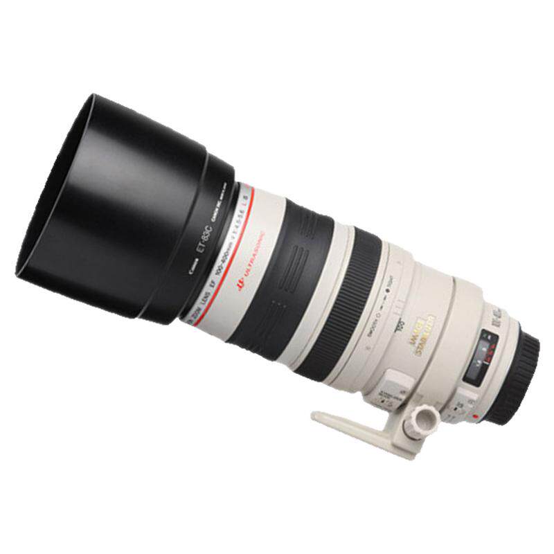 佳能100-400一代长焦远射全画幅