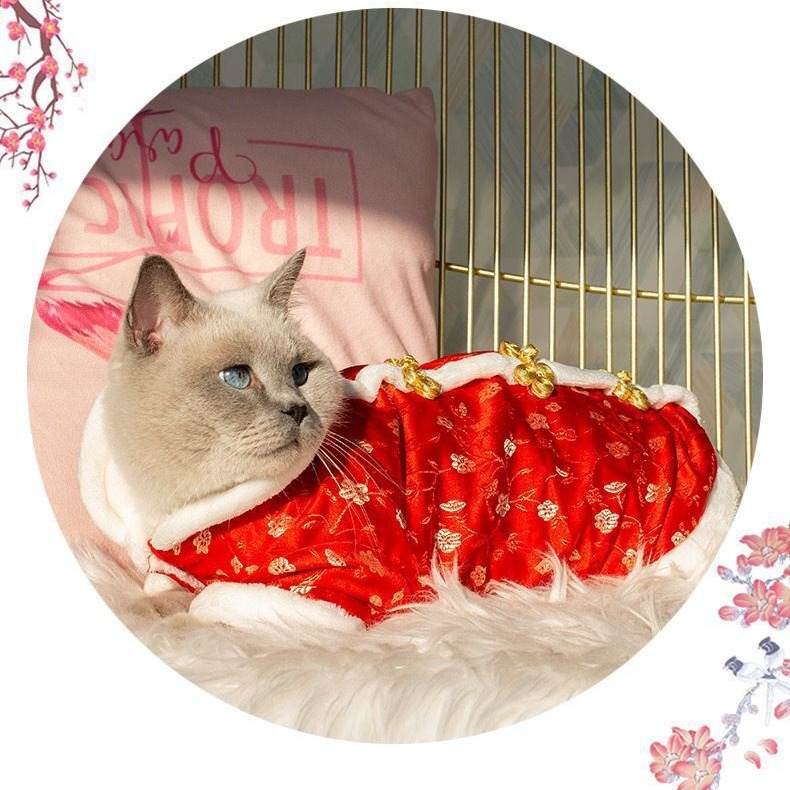 小狗狗唐装冬天泰迪博衣服秋冬装冬季加厚棉衣熊比新年猫咪宠物美