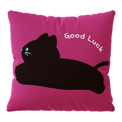 猫猫ins风高级感抱枕客厅沙发长条靠枕套车载床头午睡靠垫不含芯