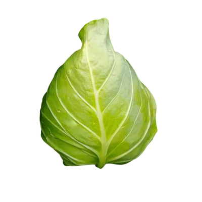 牛心甘蓝苗秧包菜苗卷心菜秧苗种子绿甘蓝苗甘蓝菜苗秧四季种植苗