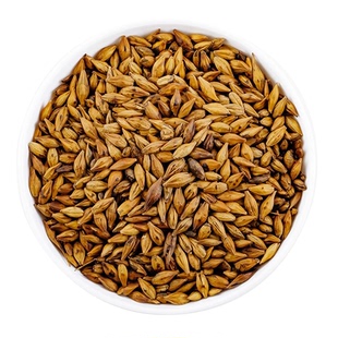 大麦茶官方旗舰店茶包玉米须回饭店专用正宗浓清奶香大麦正品养生