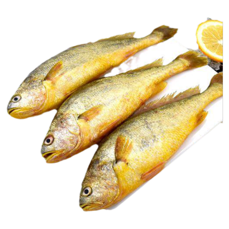 舟山生態(tài)大黃魚禮盒新年禮包送禮特產(chǎn)東海海鮮水產(chǎn)黃花魚6條裝