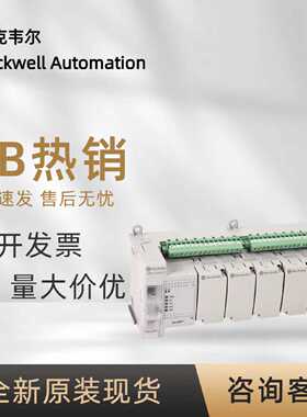 议价2080-LC50-48QVB 罗克韦尔 AB Micro800输入插件模块全新原装