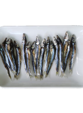 料理食材淡干公鱼干鳀鱼高汤小鱼