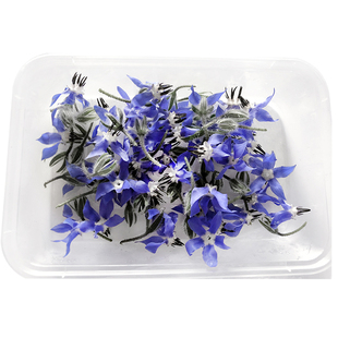 新鲜琉璃苣蓝星花食用花鲜花西餐日料摆盘烘焙蛋糕装饰花草点缀