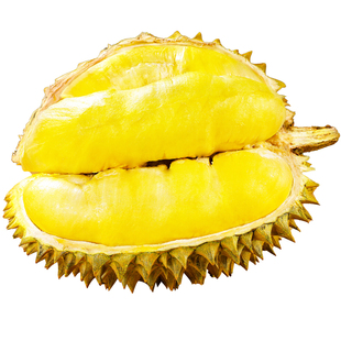 泰国金枕榴莲顺丰新鲜水果鲜果带壳小的一整个巴掌榴莲迷你肉包邮