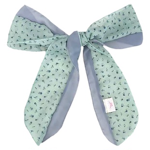 抹茶之森薄荷绿色丝巾春夏薄款氛围感高级韩系围巾细长条脖子配饰