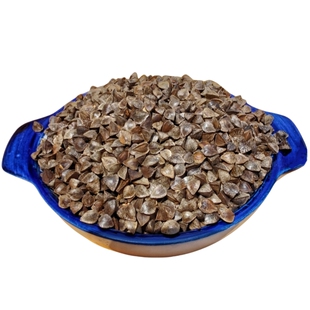 带壳荞麦原荞麦鹦鹉鸟粮饲料新荞麦小太阳玄凤鸟食斑鸠仓鼠鸽粮食