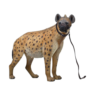 JXK非洲鬣狗模型仿真动物周边GK手办潮流玩具雕塑摆件配1/6兵人偶