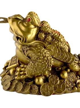 店家指导使用招财聚财铜招财金蟾