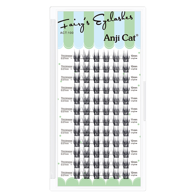 anjicat双子睫毛单簇混装