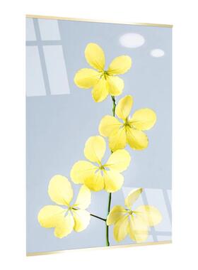 御野亚克力画框相框源头工厂