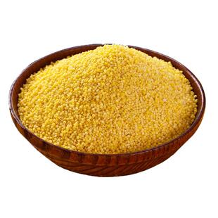 2025新5斤龙山小米脂食用级黄小米新米特香糯黄月子胃新米现磨