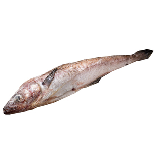延边特产冷冻新鲜明太鱼 海鲜冻鱼 新鲜大棒鱼柴鱼约5斤装