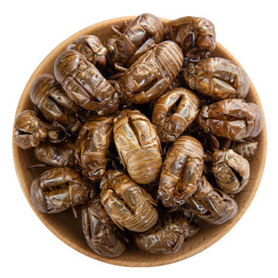 野生蝉蜕100g克蝉衣新货金蝉衣知了皮知了壳虫退蝉退壳中药材包邮