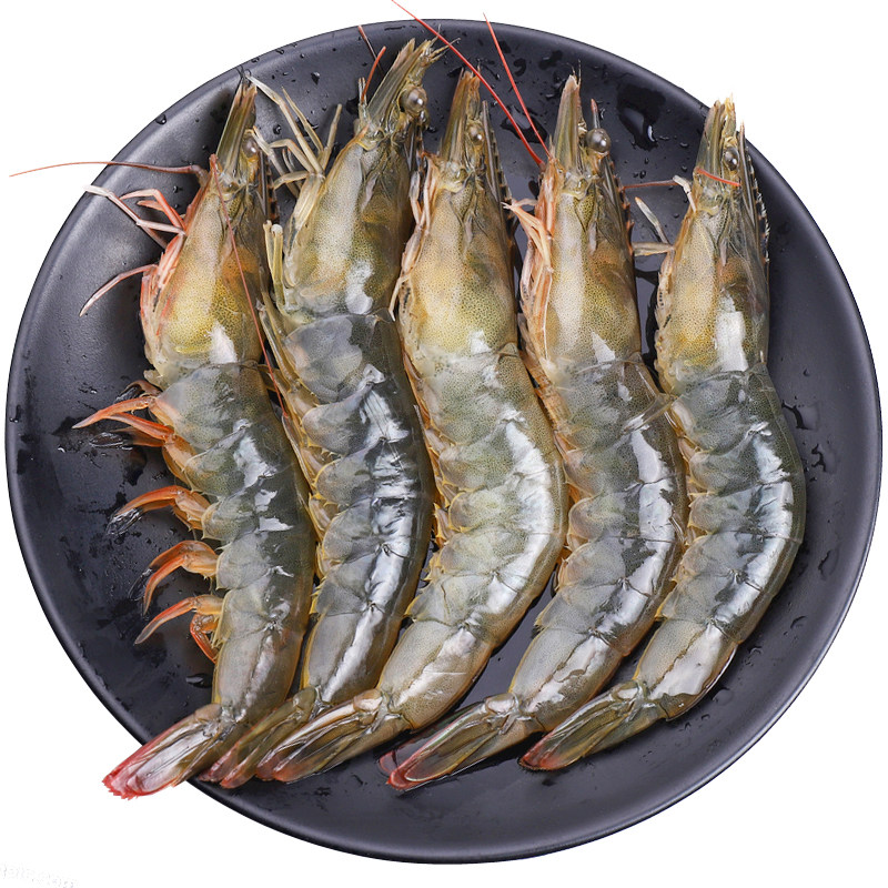 大对虾白虾新鲜海虾速冻4斤盒装