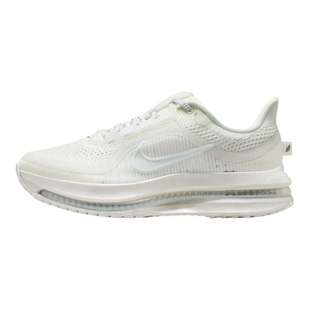 NIKE耐克女子W NIKE PEGASUSPREMIUMESS运动训练跑步鞋IO9918-100