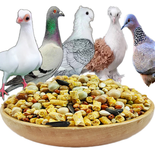 鸽粮鸽子饲料无玉米大小颗粒饲料观赏鸽食粮营养斑鸠特级信鸽专用