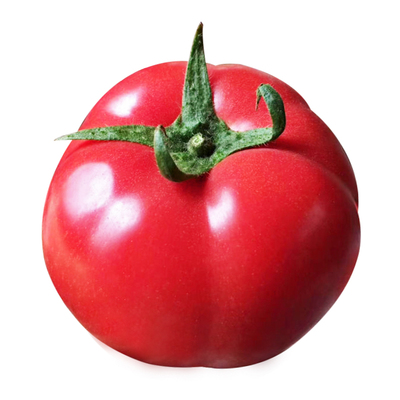 毛粉高产西红柿蔬菜四季番茄种子