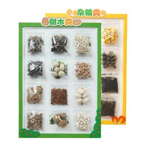 布好玩幼儿园种子观察教具