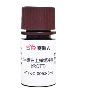 2X 4X 5X 蛋白上样缓冲液 非变性蛋白上样缓冲液含DTT 巯基还原剂
