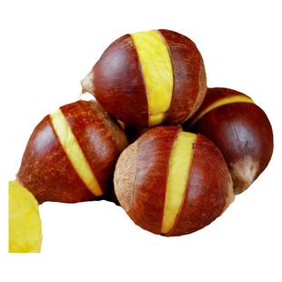 板栗生栗子新鲜甜糯建瓯高山锥栗带壳2025年福建农家毛栗子尖板栗