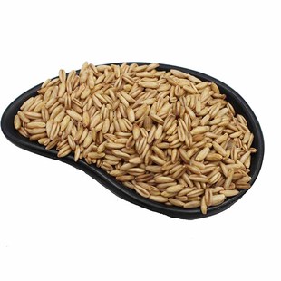 燕麦米燕麦仁新米燕麦粒胚芽米莜麦粒生燕麦米杂粮粗粮五谷杂粮