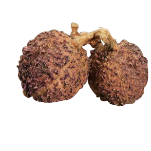 【头茬大果】阳春春砂仁正宗特产 野生阳春砂广东砂仁煲汤100克