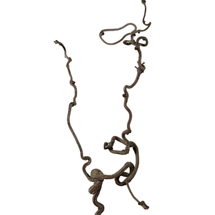 侘寂风天然艺术造型龙枣干树枝家居软装民宿枯枝日式插花装饰摆件