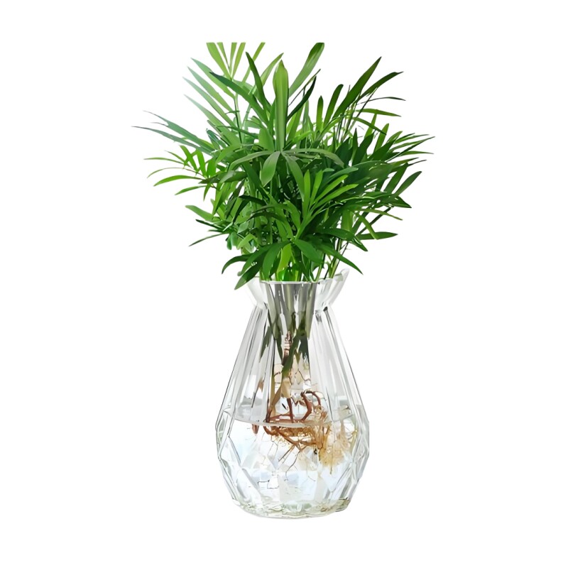 袖珍椰子盆栽富贵椰子绿植盆栽懒人 植物花卉盆景花卉好养植物