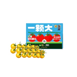 臻选一颗大臻选番茄精品礼盒装酸甜爆汁基地直发
