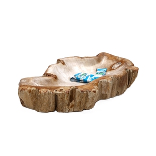 茶室收纳器皿树化石烟灰缸创意家居潮流个性现代新中式样板房摆件