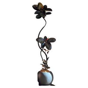 黑金刚橡皮树客厅大盆栽造型办公室内阳台大型绿植物四季好养真树