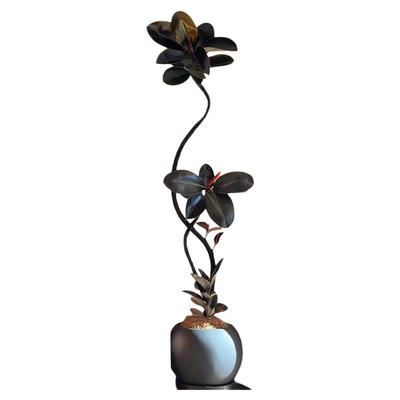 室内客厅大型绿植盆栽黑金刚