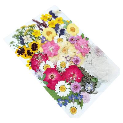 树叶干花包手工材料押花植物标本