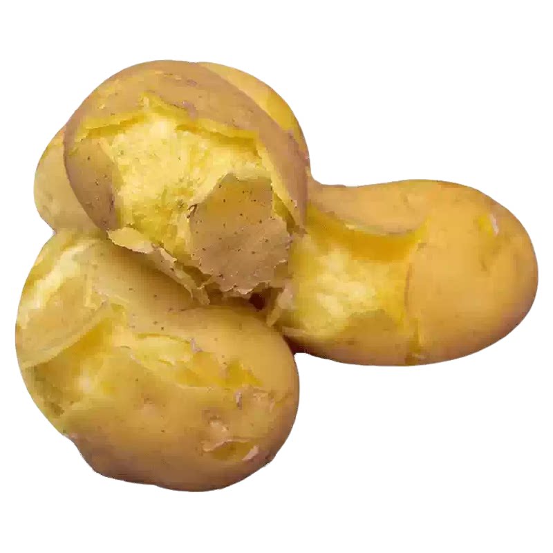 鲜蒸即食土豆新鲜马铃薯