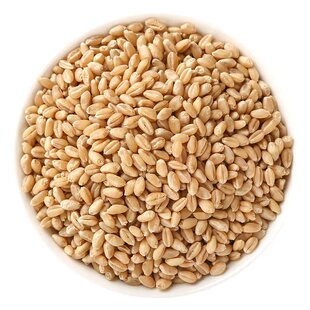 淮小麦中药材500克新货正品官方旗舰店甘麦大枣汤原料怀百合甘草