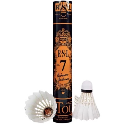 RSL亚狮龙5号羽毛球7号球6不易烂